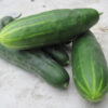 Cucumber - Marketmore 76 - St. Clare Heirloom Seeds