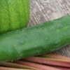 Cucumber - Marketmore 76 - St. Clare Heirloom Seeds Photo Credit RobynAnne