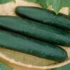 Spacemaster 80 Bush Cucumber - St. Clare Heirloom Seeds