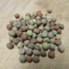 Dwarf Grey Sugar Seeds - St. Clare Heirloom Seeds.JPG