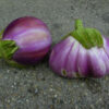Rosa Bianca Eggplant - St. Clare Heirloom Seeds