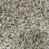 Endive Seeds