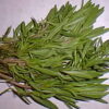 Herb, Annual - Summer Savory - St. Clare Heirloom Seeds