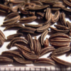 Herbs, Perennial - Caraway seeds credit Oliver s. - St. Clare Heirloom Seeds