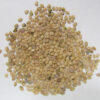 Garden Huckleberry Seeds