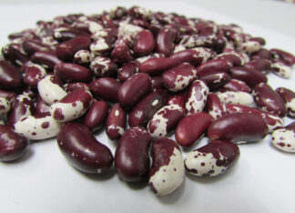 Jacob's Cattle Dry Bean