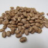 Pinto Bean - St. Clare Heirloom Seeds