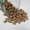 Pinto Bean - St. Clare Heirloom Seeds
