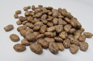 Pinto Bean - St. Clare Heirloom Seeds