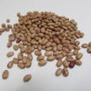 Taylor Dwarf Horticultural - St Clare Heirloom seeds
