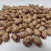 Taylor Dwarf Horticultural - St Clare Heirloom seeds