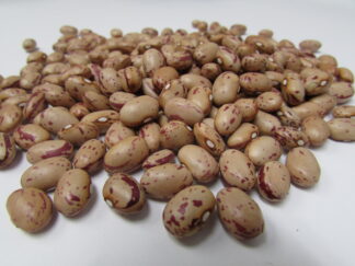 Taylor Dwarf Horticultural - St Clare Heirloom seeds