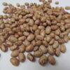 Taylor Dwarf Horticultural - St Clare Heirloom seeds
