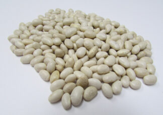 Navy Bean - St Clare Seeds