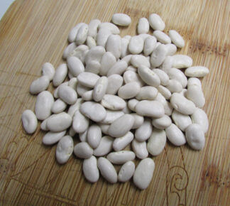 Great Northern Dry Bean- St. Clare Heirloom Seeds