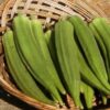 Okra- Clemson Spineless - St. Clare Heirloom Seeds