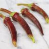 Okra - Red Burgundy - St. Clare Heirloom Seeds