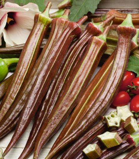 Okra - Red Burgundy - St. Clare Heirloom Seeds
