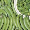 Pea, Edible Pod, Snap - Sugar Ann Pea - St. Clare Heirloom Seeds