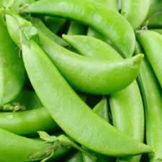Pea, Edible Pod, Snap - Sugar Snap - St. Clare Heirloom Seeds