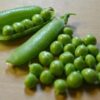 Pea, Shelling, English Pea - Early Frosty - St. Clare Heirloom Seeds