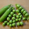 Pea, Shelling, English Pea - Early Frosty - St. Clare Heirloom Seeds