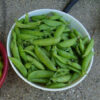 Pea, Snap Pea - Sugar Lace II - St. Clare Heirloom Seeds