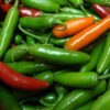 Hot Pepper - Serrano Chili