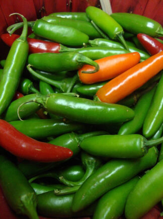 Hot Pepper - Serrano Chili