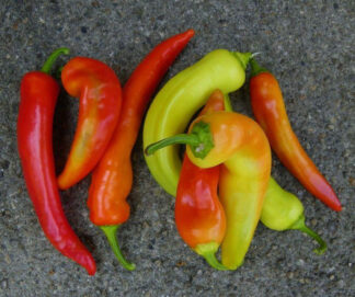 Sweet Pepper - Sweet Banana - St. Clare Heirloom Seeds
