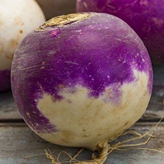 Rutabaga Seeds