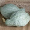 Squash, Winter - Blue Hubbard - St. Clare Heirloom Seeds