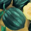 Squash, Winter - Table Queen Acorn Bush - St. Clare Heirloom Seeds