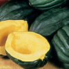 Squash, Winter - Table Queen Acorn Bush - St. Clare Heirloom Seeds