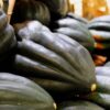 Squash, Winter - Table Queen Acorn Bush - St. Clare Heirloom Seeds
