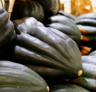 Squash, Winter - Table Queen Acorn Bush - St. Clare Heirloom Seeds