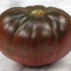 Tomato - Brandywine Black - St. Clare Heirloom Seeds