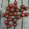 Tomato, Cherry - Black Cherry - St. Clare Heirloom Seeds