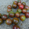 Tomato, Cherry - Black Cherry - St. Clare Heirloom Seeds
