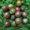 Tomato, Cherry - Black Cherry - St. Clare Heirloom Seeds
