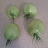 Tomato, Paste - Amish Paste Immature Fruit - St. Clare Heirloom Seeds - Photo credit Mattwj2002
