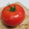Heirloom Beefsteak Red Tomato