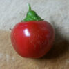 Large Red Cherry Hot Pepper - St. Clare Heirloom Seeds Photo Credit RobynAnne
