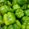 Sweet Pepper - Yolo Wonder - Image 3