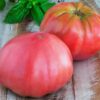 Tomato, Pink and Purple - Brandywine Pink - St. Clare Heirloom Seeds
