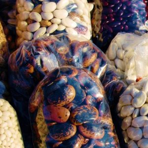 How to Store Unused Seeds: Proven Strategies for Saving Unused Seeds for Next Year’s Garden