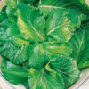 Mustard - Tendergreen - St. Clare Heirloom Seeds