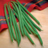 Bean - Jade - St. Clare Heirloom Seeds
