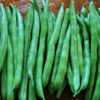 Bean - Jade - St. Clare Heirloom Seeds