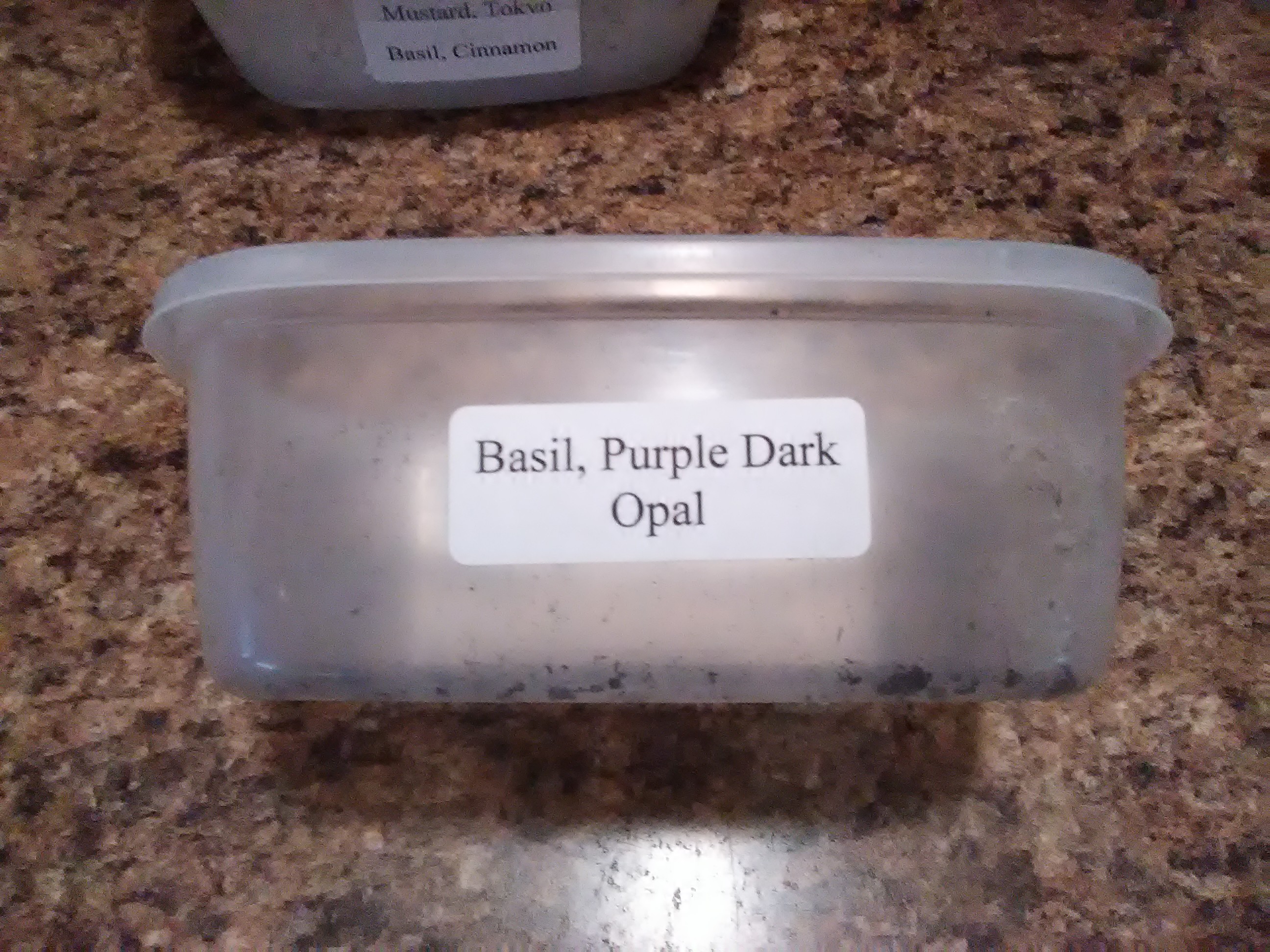 Recycled container marked with a handwritten label for indoor microgreens variety.